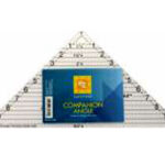 Regla Acrílica Ángulo Acompañante